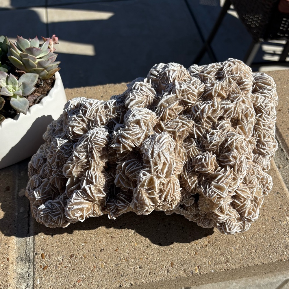 9lbs Desert Rose Cluster